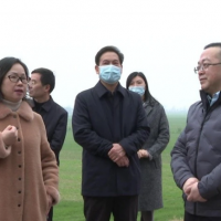 長(zhǎng)江委、省水利廳檢查組來枝江檢查河道采砂管理工作